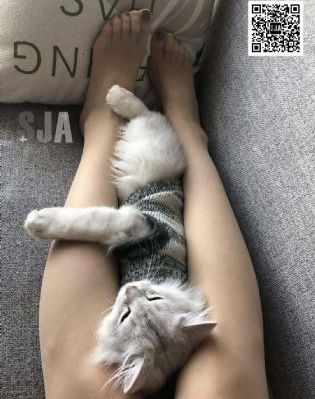免费黄色短视频_青苹果乐园免费高清观看